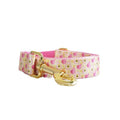 Nylon-Look Dog Collar With Pet Print