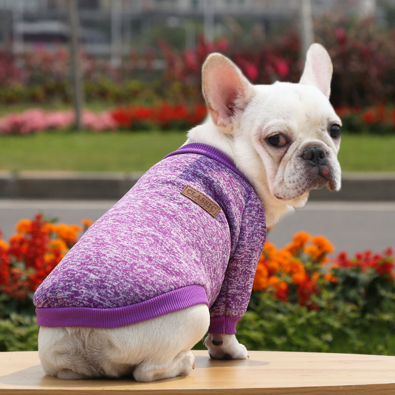 Fall Winter New Style Sweater Two-Legged Clothes Dog Supplies
