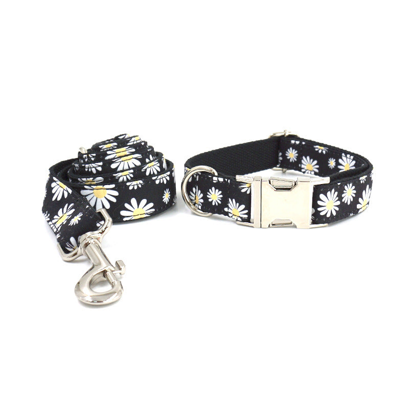 Engraved Dog Collar and Leash Set