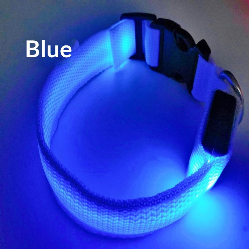 USB-Charging Glow-in-the-Dark Dog Collar