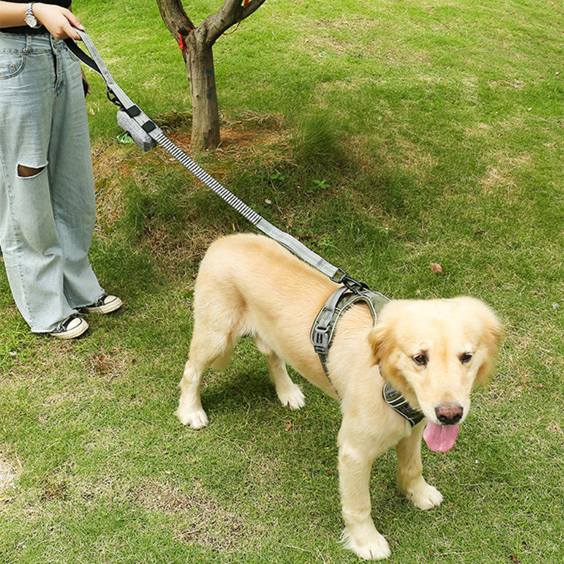 Fluorescent Pet Explosion-Proof Punch Elastic Retractable Dog Leash