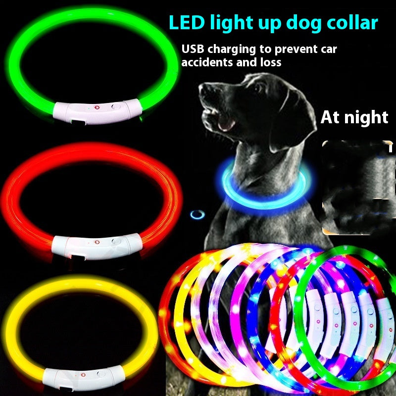 Glowing Pet Collar Usb Charging Led