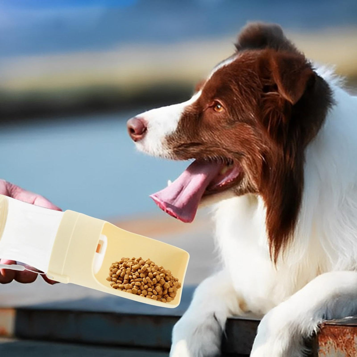 2-In-1 Travel Dog Water Bottle