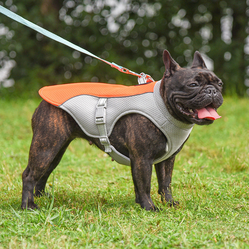 Breathable Summer Cooling Dog Vest