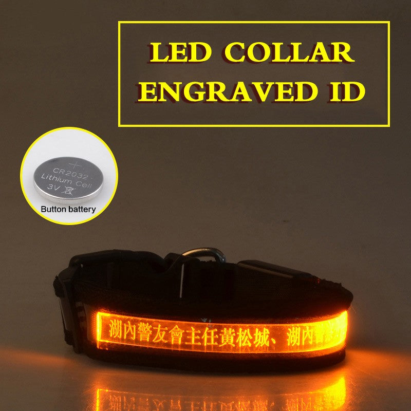 Glow In The Dark Lettering Dog Collar