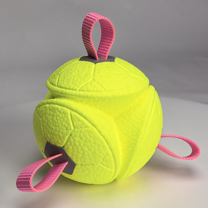 Durable Interactive Dog Toy Ball