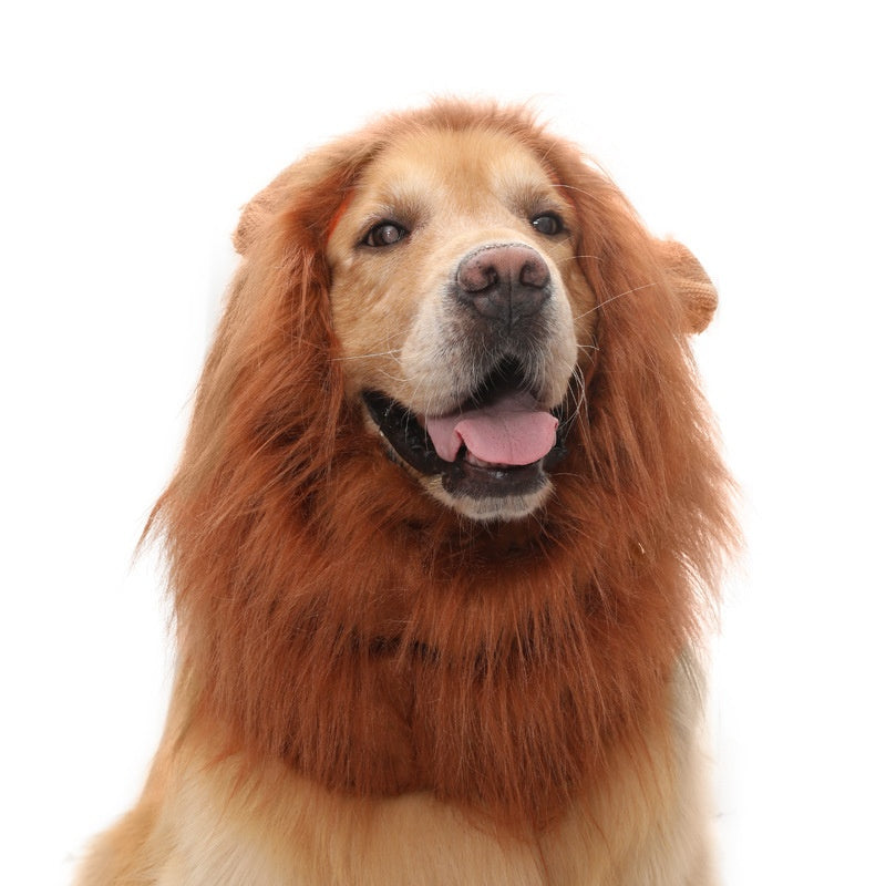 Pet Supplies Dog Wig Dog Hat Lion Head Cover